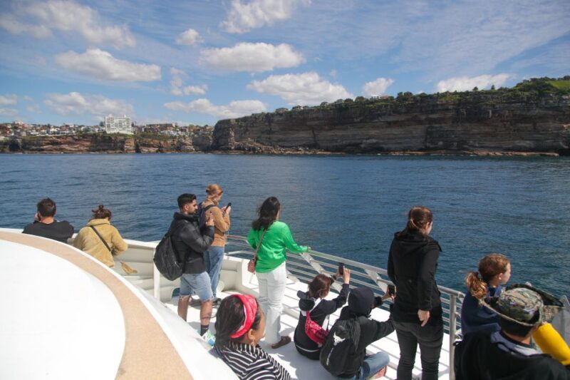 Sydney: 2.5-Hour Discovery Whale Watching Tour by Catamaran - Key Points