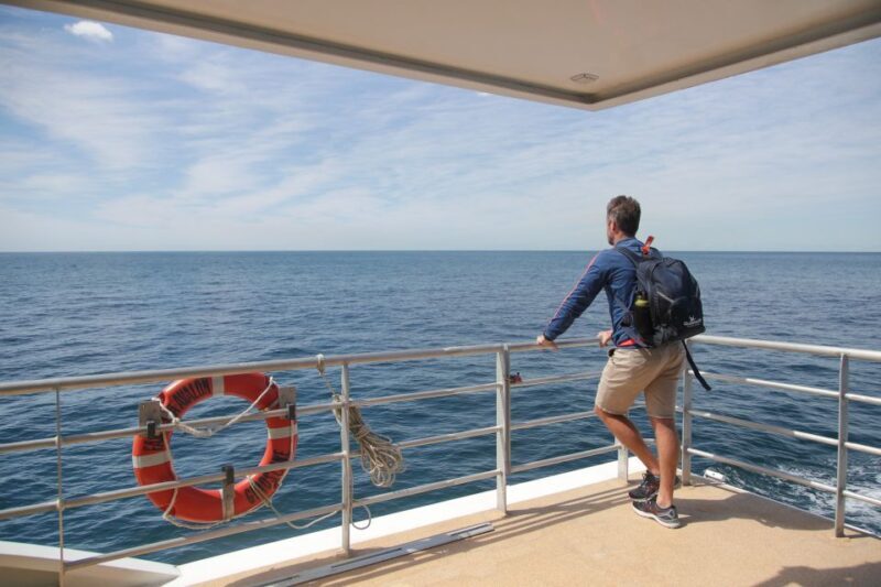 Sydney: 2.5-Hour Discovery Whale Watching Tour by Catamaran - What to expect during the cruise