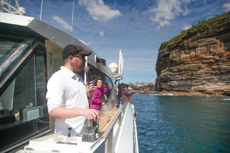 Sydney: 2.5-Hour Discovery Whale Watching Tour by Catamaran - Who is this tour best suited for?