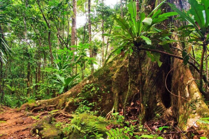 Sydney: 2-Day Private Tour to Blue Mountains and Kiama - Exploring the Sydney: 2-Day Private Tour to Blue Mountains and Kiama