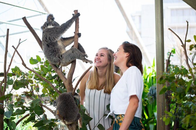Sydney Attractions Pass: SEA LIFE Aquarium, Sydney Tower Eye, WILD LIFE Zoo and Madame Tussauds - An Overview of the Tour Experience
