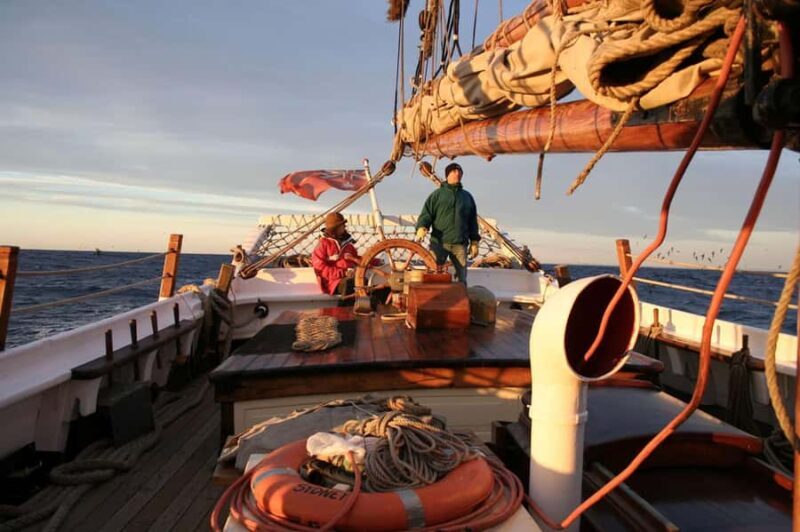 Sydney: Australia Day Tall Ship Cruise with Dinner & Drinks - Key Points