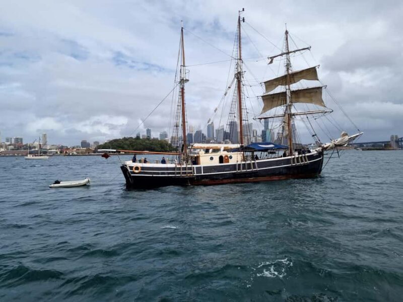 Sydney: Australia Day Tall Ship Cruise with Dinner & Drinks - Practical Details & Considerations