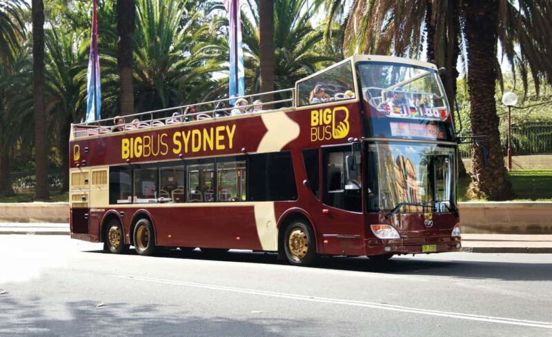 Sydney: Big Bus Hop-On Hop-Off Tour with Optional Cruise - Practical Tips and Considerations