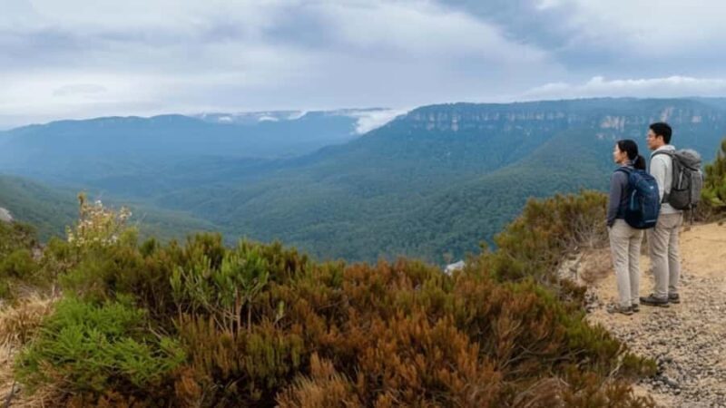 Sydney: Blue Mountains and F. Wildlife Park - Private Tour - Exploring the Blue Mountains and Featherdale Wildlife Park: A Balanced Look at a Private Tour