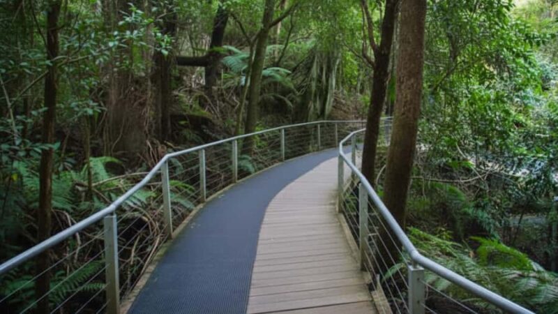 Sydney: Blue Mountains and F. Wildlife Park - Private Tour - Who Is This Tour Best For?