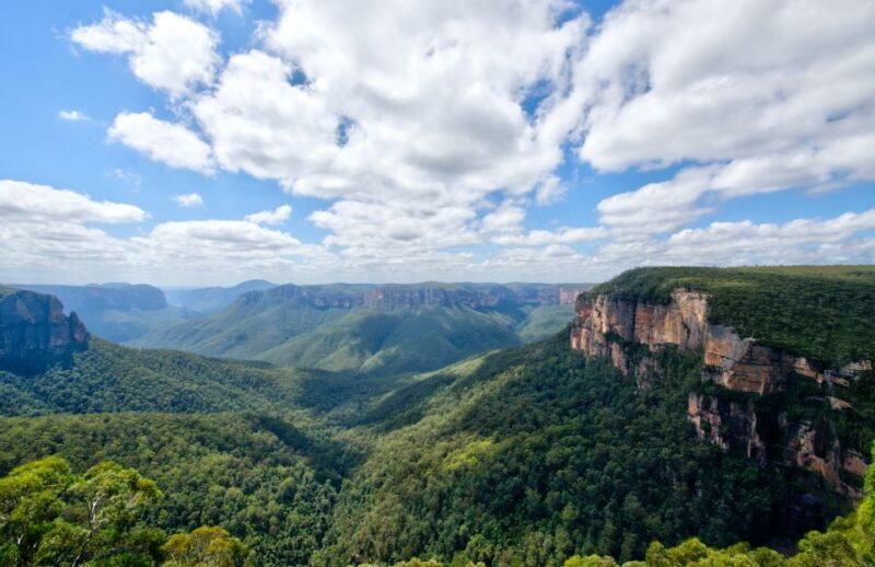 Sydney: Blue Mountains and Scenic World private day tour - Who Will Love This Tour?