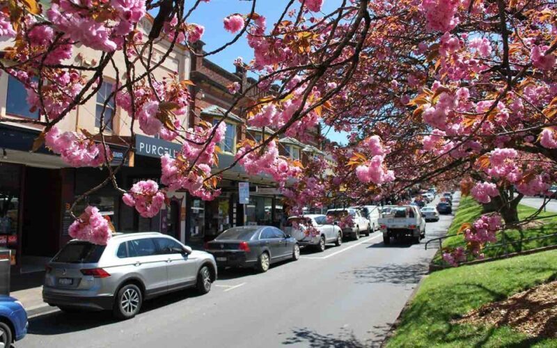Sydney: Blue Mountains & Featherdale Wildlife Park Day Trip - FAQs