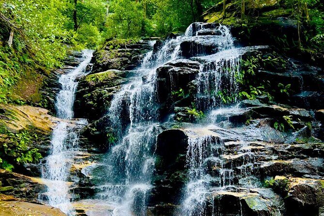 Sydney Blue Mountains Full Day Tour with Return Harbour Cruise - The Itinerary in Detail: What to Expect