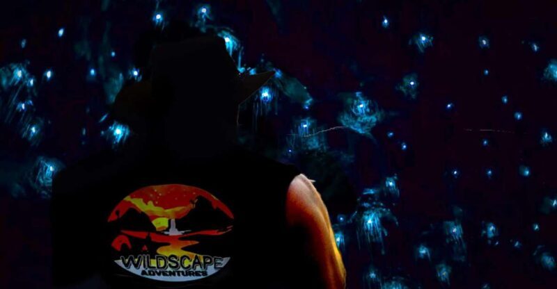 Sydney: Blue Mountains Glow Worms Wild Adventure by Night - Who Will Love This Tour?  