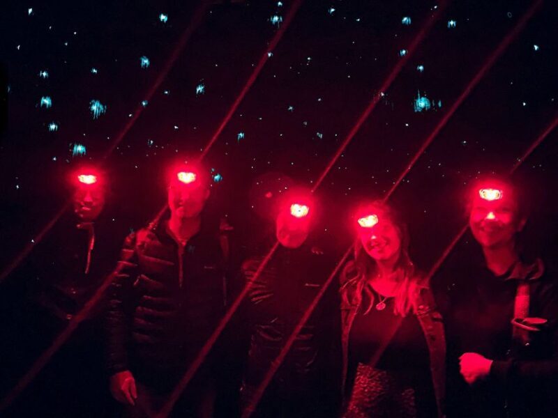 Sydney: Blue Mountains Glow Worms Wild Adventure by Night - Key Points