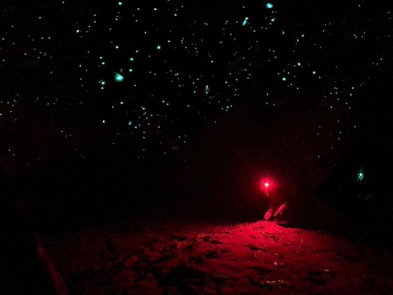Sydney: Blue Mountains Glow Worms Wild Adventure by Night - What’s Included and What’s Not