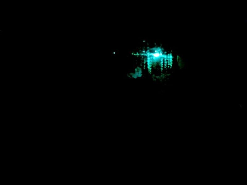 Sydney: Blue Mountains Glow Worms Wild Adventure by Night - Final Thoughts: Is This Experience Worth It?
