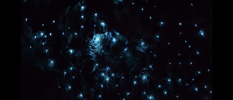 Sydney: Blue Mountains Glow Worms Wild Adventure by Night - Frequently Asked Questions (FAQs)