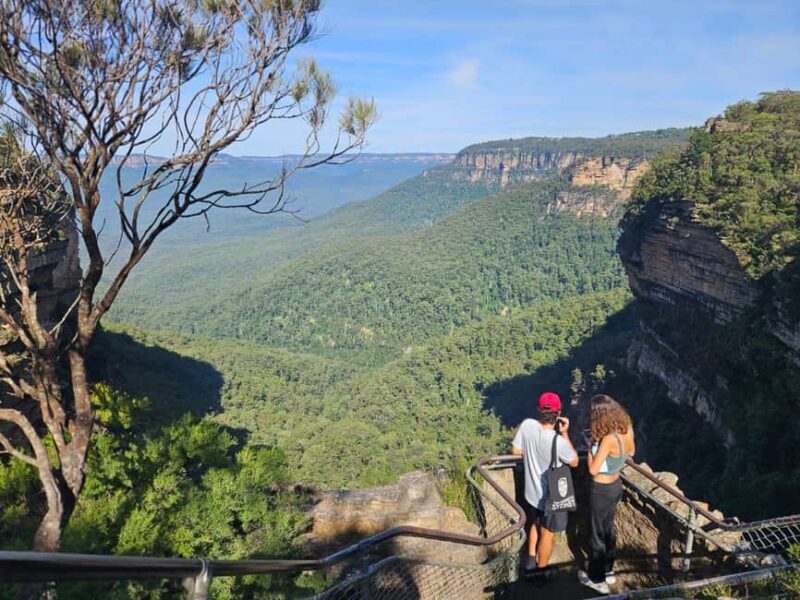 Sydney: Blue Mountains Guided Hike with Lunch & Pickup - Key Points