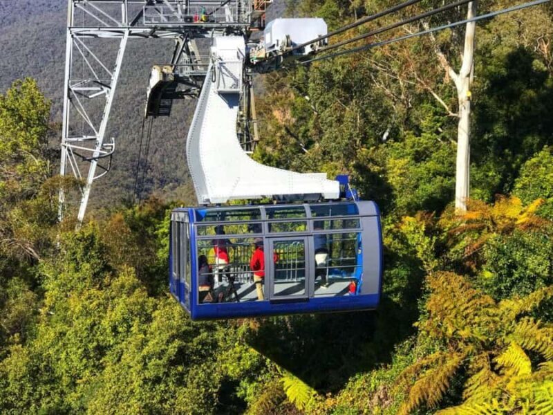 Sydney: Blue Mountains Half Day Scenic World & Lookout Tour - Practical Information and Tips