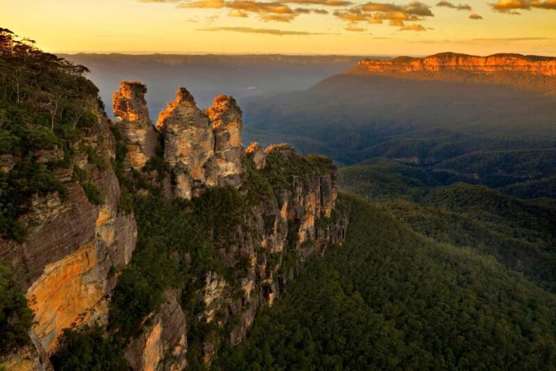 Sydney: Blue Mountains Kangaroos, Wilderness and Sunset Tour - What to Expect from the Blue Mountains Kangaroos, Wilderness and Sunset Tour