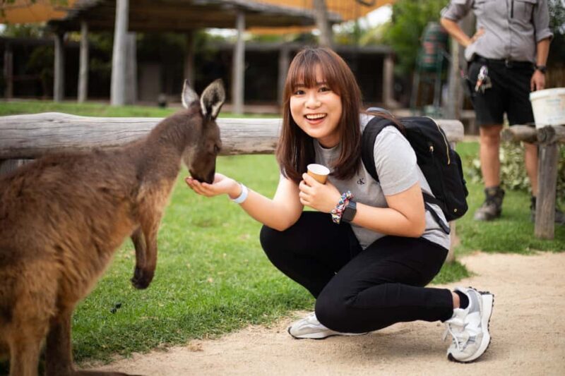Sydney: Blue Mountains, Scenic World, and Sydney Zoo Tour - Authentic Traveler Insights