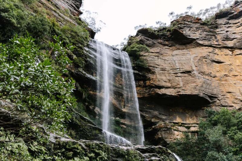 Sydney: Blue Mountains Tour with Wildlife Park & Waterfalls - Key Points