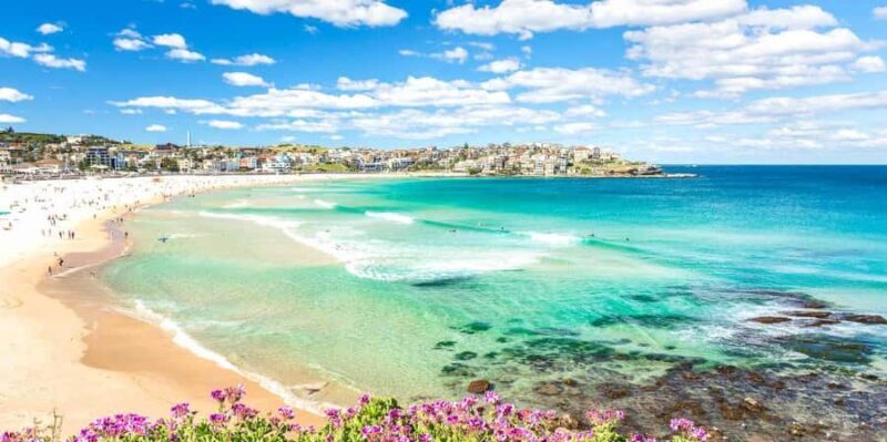 Sydney: Bondi Beach, La Perouse, & City Highlights Tour - What Makes This Tour Worth Considering?