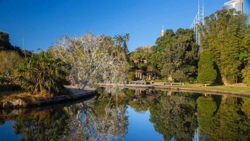 Sydney: Bondi Beach, Opera House & Sydney City Private Tour - The Sum Up