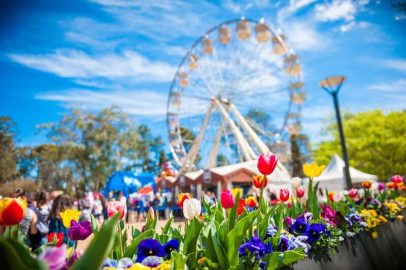 Sydney: Canberra Floriade Festival & Tulip Top Gardens Tour - Key Points