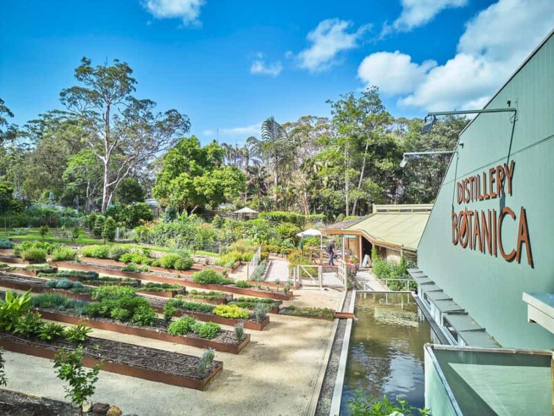 Sydney: Central Coast Day Trip with Wildlife Sanctuary - An In-Depth Look at the Central Coast Day Trip