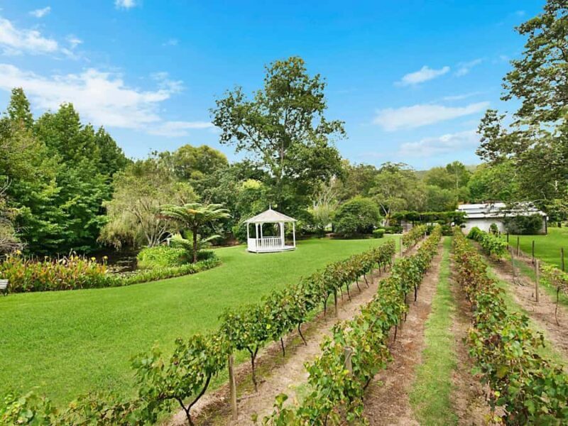 Sydney: Central Coast Day Trip with Wildlife Sanctuary - Final Thoughts