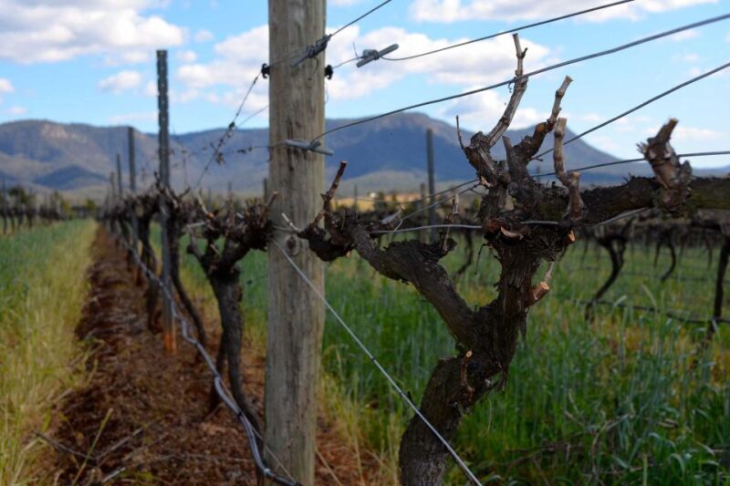 Sydney: Chef-Led Hunter Valley Food & Wine Tour - FAQ