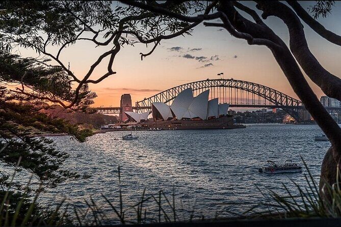 Sydney City Hidden Gem Half Day Small Group Tour - The Sum Up
