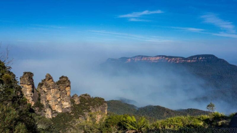 Sydney: City Highlights Shore Excursion Tour - Key Points