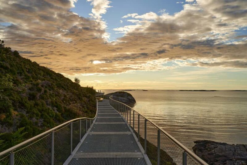 Sydney Coastal Highlights and Ferry Ride Half Day Tour - Who Is This Tour Best For?