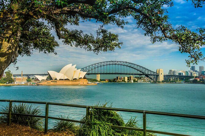 Sydney Combo: Morning Sightseeing to Bondi & Harbour Lunch Cruise - Bondi Beach: Surf, Sand, and Leisure