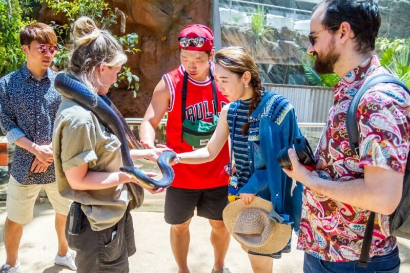 Sydney: Combo Pass for 2, 3, or 4 Top City Attractions - Final Thoughts