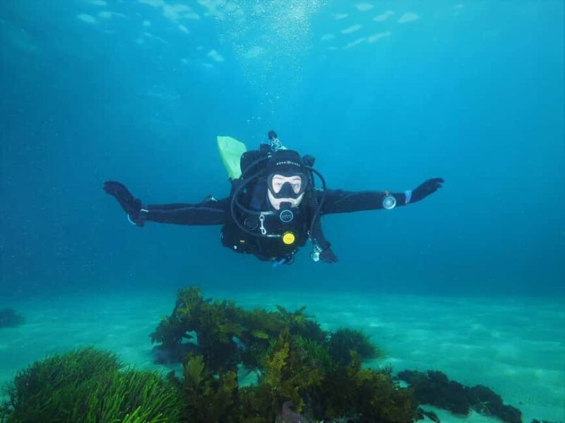 Sydney: Discover Scuba Dive at Australia's most Iconic Beach - Why Choose the Discover Scuba Experience at Bondi Beach?