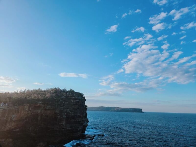 Sydney East Coast Tour - An In-Depth Look at the Sydney East Coast Tour