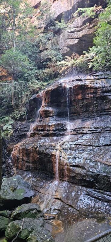 Sydney: English or German Private Blue Mountains Tour - Key Points