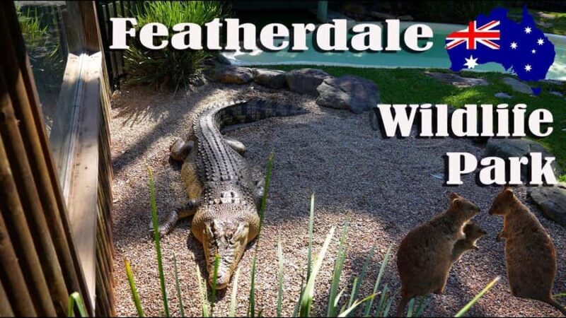 Sydney: Featherdale Park & Sydney Zoo Day Tour - Authentic Experiences & Insider Tips