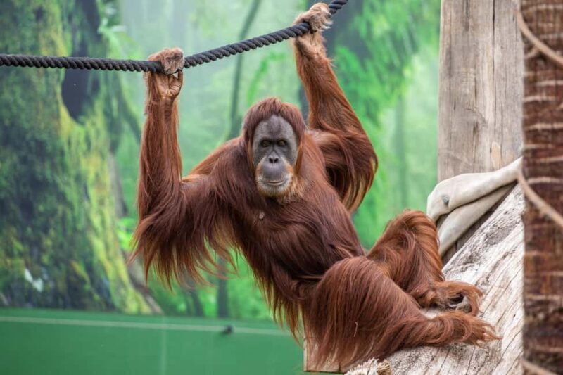 Sydney: Featherdale Wildlife Park Private Tour - Final Thoughts