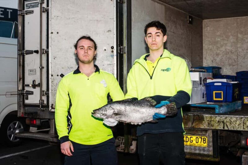 Sydney Fish Market Discovery Tour - The Experience: A Deep Dive into the Sydney Fish Market Tour