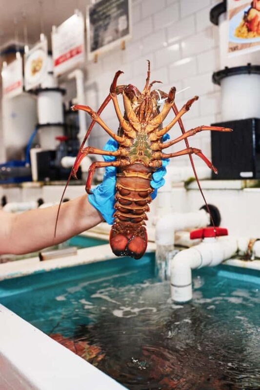 Sydney Fish Market Discovery Tour - The Market & Its Surroundings: A Closer Look