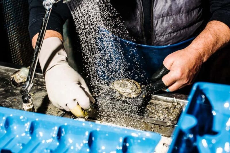 Sydney: Fish Market Food Tour - Sydney: Fish Market Food Tour — A Fresh Look at Australias Seafood