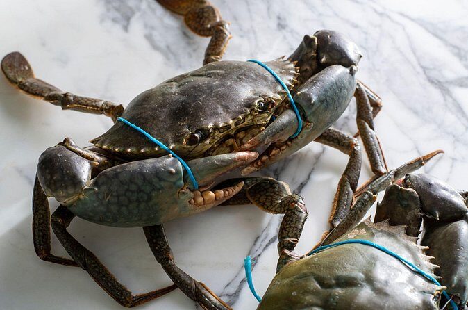 Sydney Fish Market: Singapore Chilli Mud Crab Cooking Class - Who Will Love This Tour?