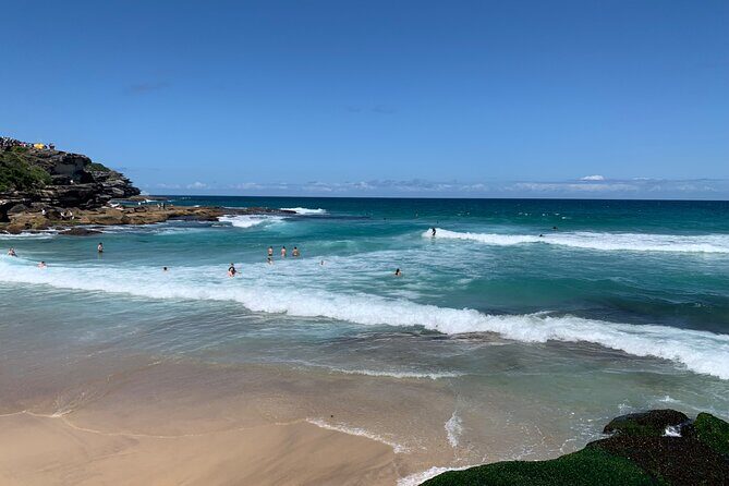 Sydney Full Day Private City Harbour Coastal Adventure - A Day in Sydney: What to Expect