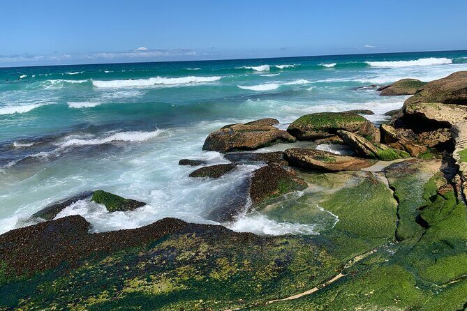 Sydney Full Day Private City Harbour Coastal Adventure - Transportation & Overall Value