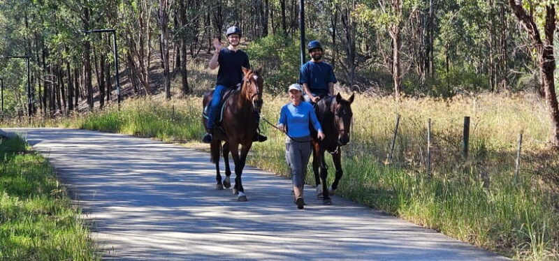 Sydney: Guided 2-Hour Horseback Picnic Tour - A Closer Look at the Guided Horseback Picnic Tour