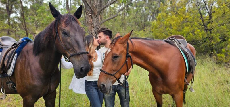 Sydney: Guided 2-Hour Horseback Picnic Tour - What Reviewers Have Said