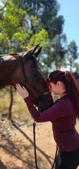 Sydney: Guided 2-Hour Horseback Picnic Tour - Who Will Love This Tour?
