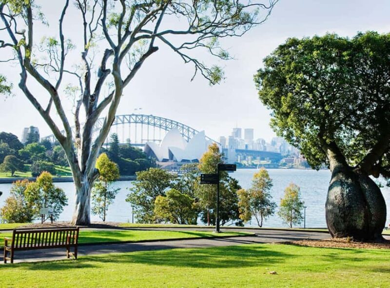 Sydney: Guided City Walk with Picnic Lunch - Key Points