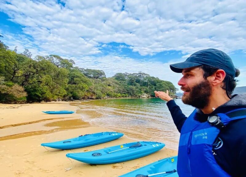 Sydney: Guided Kayak Tour of Manly Cove Beaches - Key Points